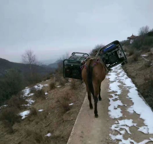 湖北深圳骡子运输队